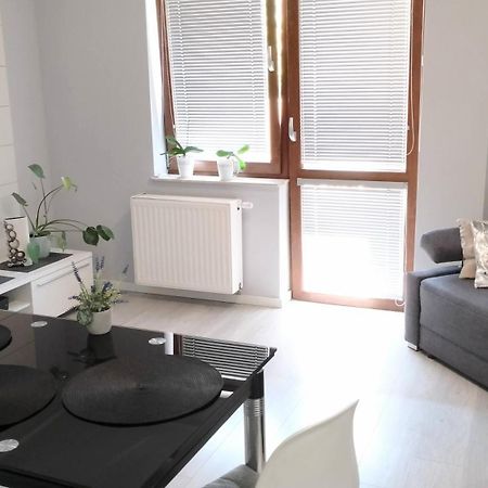 Apartament Zalesie Z Tarasem Lubiń Kültér fotó