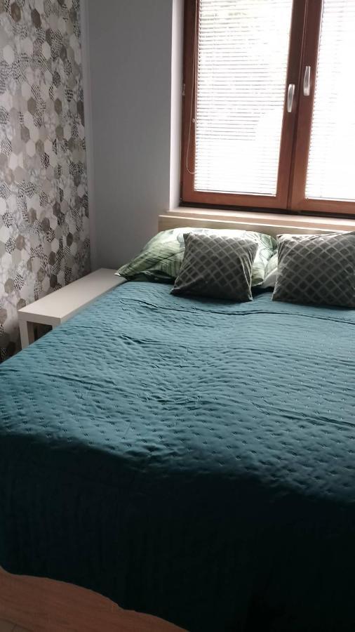 Apartament Zalesie Z Tarasem Lubiń Kültér fotó